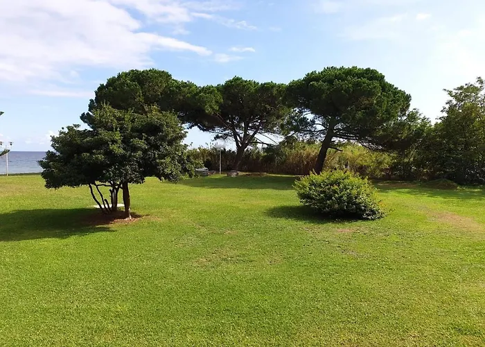 Cosy - Corsica - - Parking *